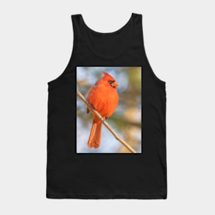 Northern Cardinal on a spring day Tank Top